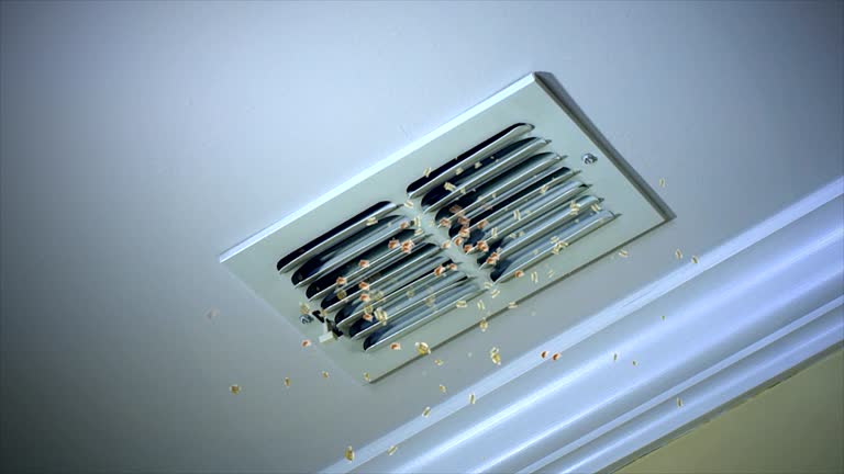 Best Dryer Vent Cleaning Services  in Myersville, MD